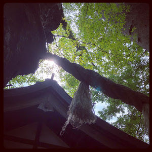 Meet your Posher, Queenie